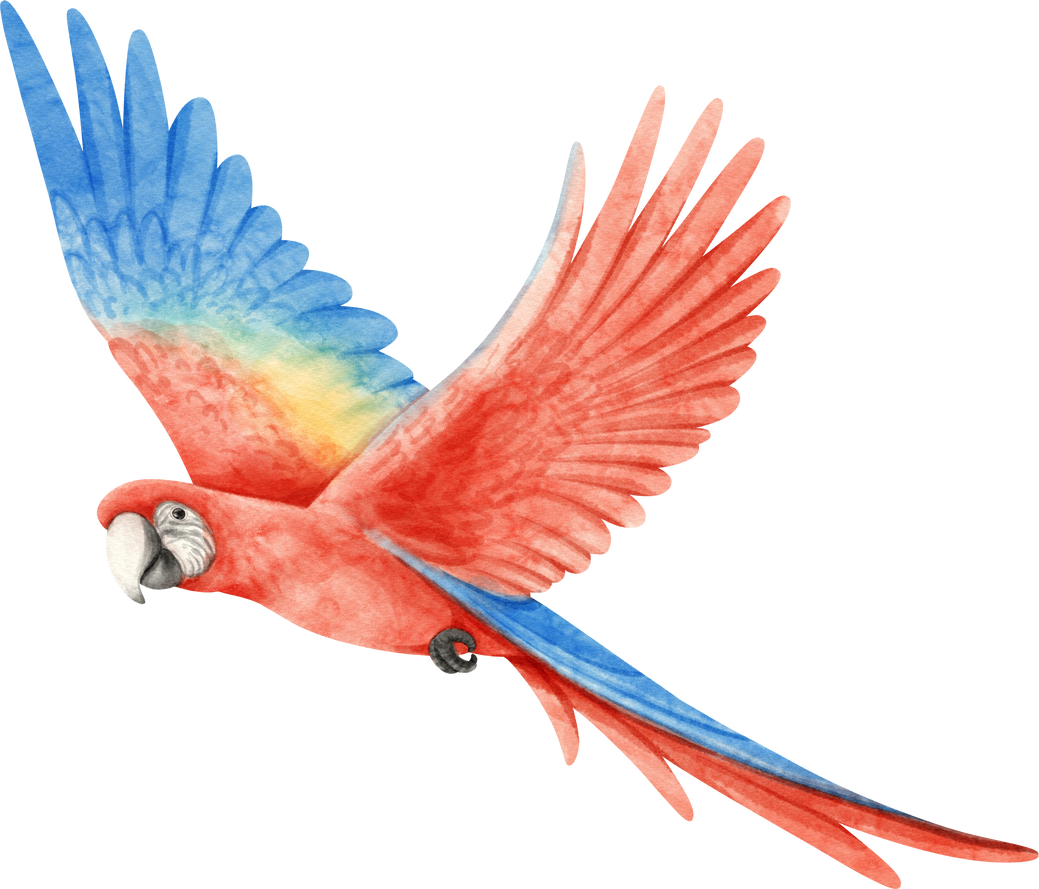 Watercolor of macaw parrot bird illustration